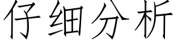 仔細分析 (仿宋矢量字庫)