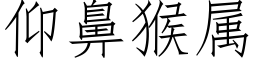 仰鼻猴属 (仿宋矢量字库)