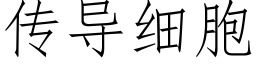 传导细胞 (仿宋矢量字库)