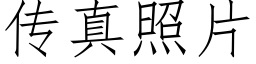 傳真照片 (仿宋矢量字庫)