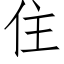 住 (仿宋矢量字庫)