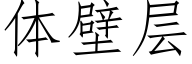 体壁层 (仿宋矢量字库)