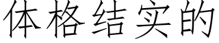 体格结实的 (仿宋矢量字库)
