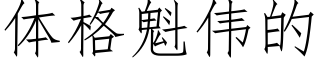 體格魁偉的 (仿宋矢量字庫)