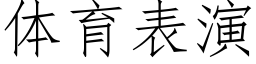 體育表演 (仿宋矢量字庫)