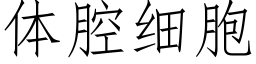 體腔細胞 (仿宋矢量字庫)