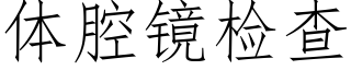 体腔镜检查 (仿宋矢量字库)