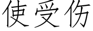 使受伤 (仿宋矢量字库)