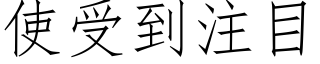使受到注目 (仿宋矢量字库)