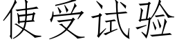 使受试验 (仿宋矢量字库)