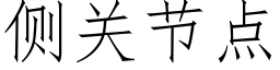 侧关节点 (仿宋矢量字库)