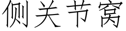 侧关节窝 (仿宋矢量字库)