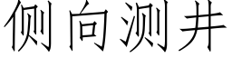 侧向测井 (仿宋矢量字库)