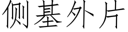 側基外片 (仿宋矢量字庫)