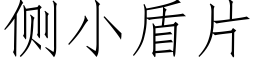 側小盾片 (仿宋矢量字庫)