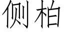 側柏 (仿宋矢量字庫)