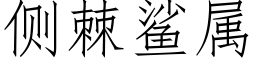 侧棘鲨属 (仿宋矢量字库)