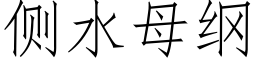 侧水母纲 (仿宋矢量字库)