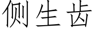 侧生齿 (仿宋矢量字库)