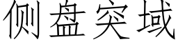 侧盘突域 (仿宋矢量字库)