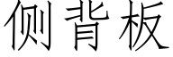 侧背板 (仿宋矢量字库)