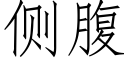 侧腹 (仿宋矢量字库)