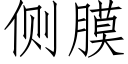 側膜 (仿宋矢量字庫)