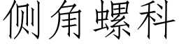 側角螺科 (仿宋矢量字庫)