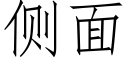 侧面 (仿宋矢量字库)