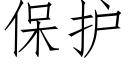 保護 (仿宋矢量字庫)