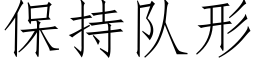 保持队形 (仿宋矢量字库)