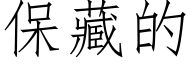 保藏的 (仿宋矢量字庫)