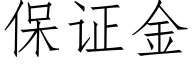 保证金 (仿宋矢量字库)