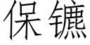 保镳 (仿宋矢量字庫)