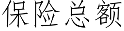 保險總額 (仿宋矢量字庫)