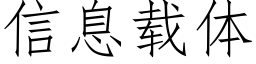 信息載體 (仿宋矢量字庫)