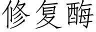 修複酶 (仿宋矢量字庫)