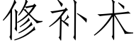 修補術 (仿宋矢量字庫)