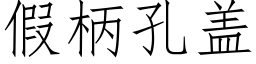 假柄孔盖 (仿宋矢量字库)