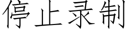 停止录制 (仿宋矢量字库)