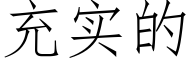 充實的 (仿宋矢量字庫)