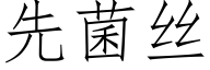 先菌絲 (仿宋矢量字庫)