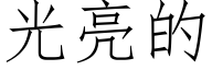 光亮的 (仿宋矢量字庫)