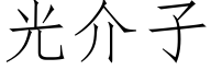 光介子 (仿宋矢量字庫)