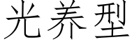 光养型 (仿宋矢量字库)