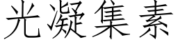 光凝集素 (仿宋矢量字庫)