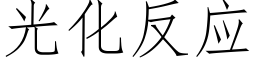 光化反应 (仿宋矢量字库)