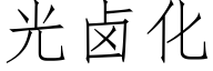 光鹵化 (仿宋矢量字庫)