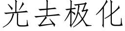 光去極化 (仿宋矢量字庫)