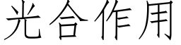 光合作用 (仿宋矢量字库)